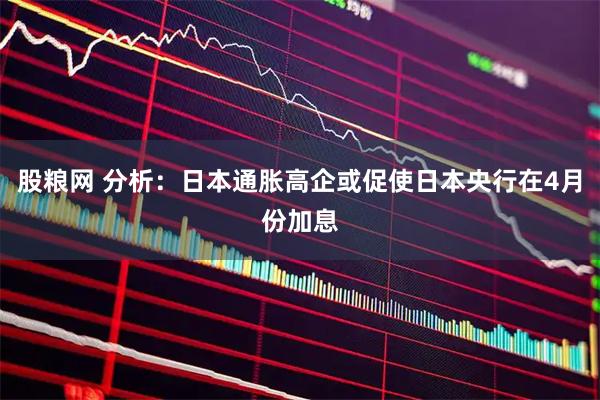 股粮网 分析：日本通胀高企或促使日本央行在4月份加息