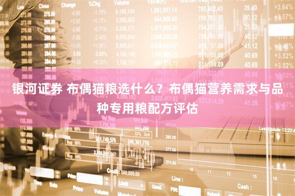 银河证券 布偶猫粮选什么？布偶猫营养需求与品种专用粮配方评估