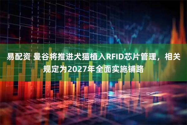 易配资 曼谷将推进犬猫植入RFID芯片管理，相关规定为2027年全面实施铺路