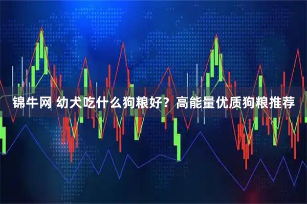 锦牛网 幼犬吃什么狗粮好？高能量优质狗粮推荐