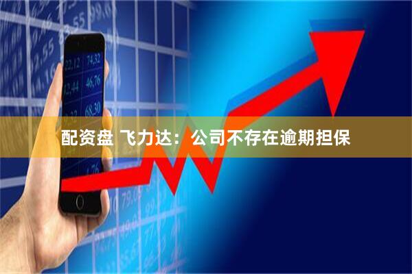 配资盘 飞力达：公司不存在逾期担保
