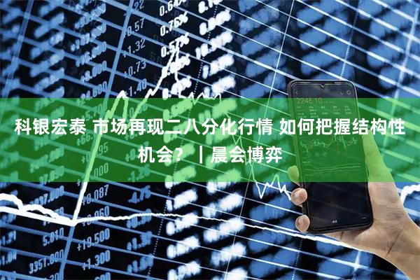 科银宏泰 市场再现二八分化行情 如何把握结构性机会？｜晨会博弈