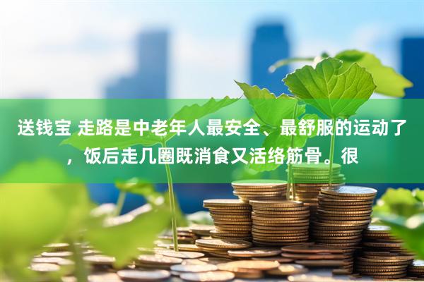 送钱宝 走路是中老年人最安全、最舒服的运动了，饭后走几圈既消食又活络筋骨。很