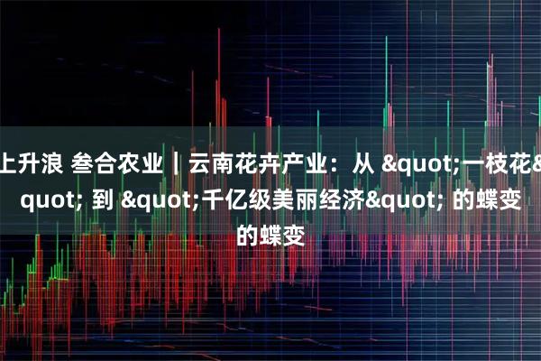 上升浪 叁合农业｜云南花卉产业：从 "一枝花" 到 "千亿级美丽经济" 的蝶变