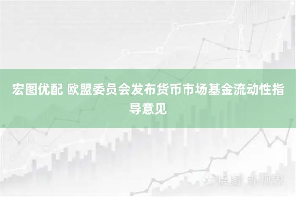宏图优配 欧盟委员会发布货币市场基金流动性指导意见