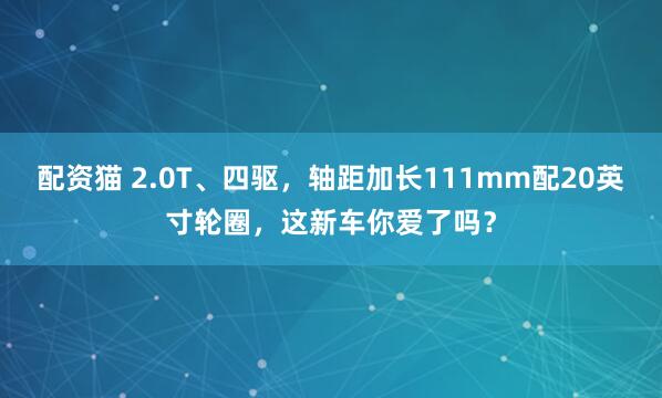 配资猫 2.0T、四驱，轴距加长111mm配20英寸轮圈，这新车你爱了吗？